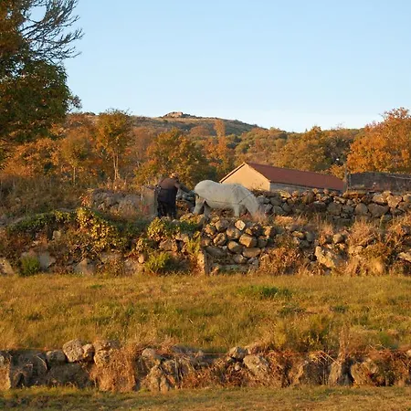 Rural Senhora Dos Remedios Mourilhe